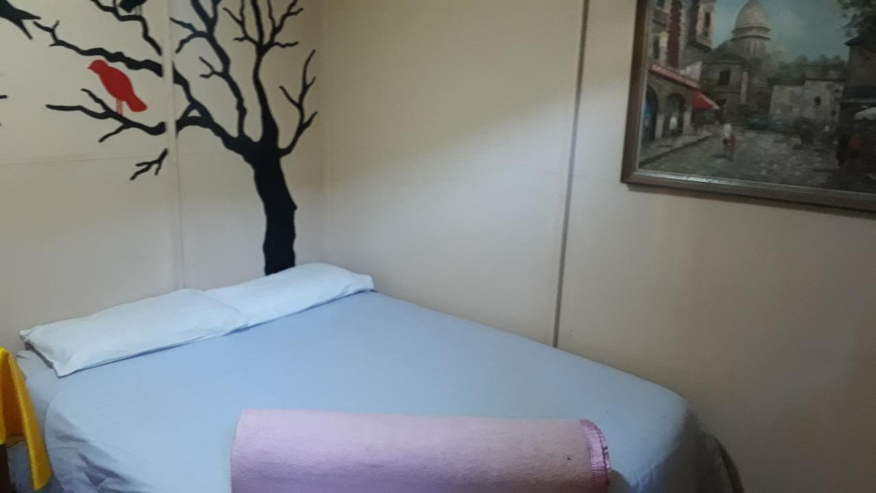מלון פוצ'פסטרום Paljas Backpackers מראה חיצוני תמונה